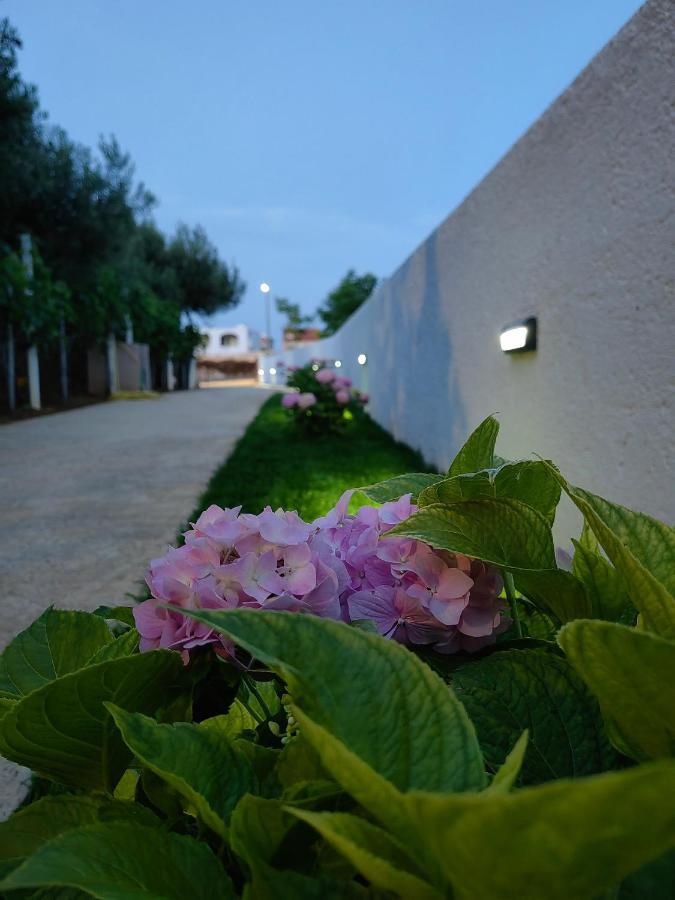 Apartment White Pearl Ražanac Екстериор снимка