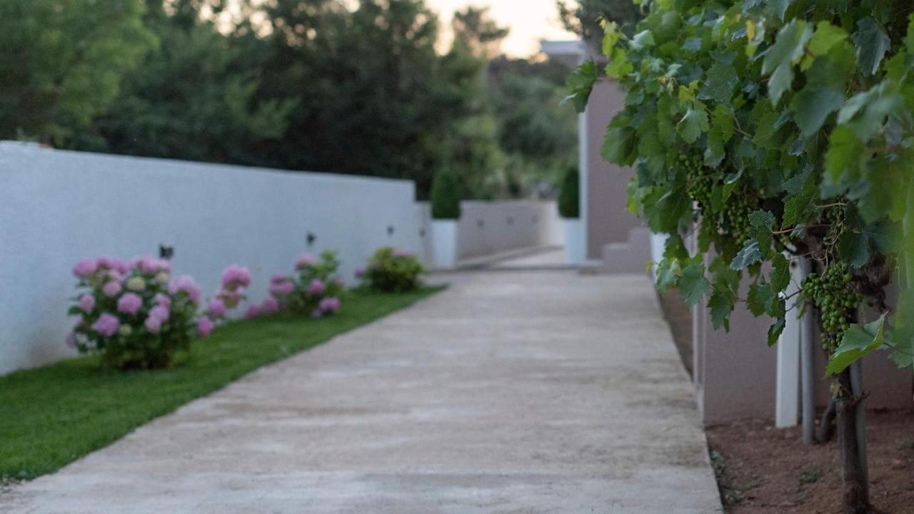 Apartment White Pearl Ražanac Екстериор снимка